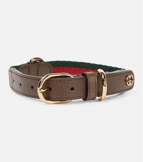 Collier pour chien Web en cuir synthétique en multicolore – Gucci .